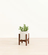 Load image into Gallery viewer, Cotton White stand:walnut