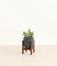 Load image into Gallery viewer, Iron Gray stand:walnut