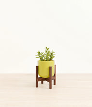 Load image into Gallery viewer, Key Lime Yellow stand:walnut