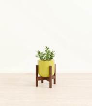 Load image into Gallery viewer, Key Lime Yellow stand:walnut
