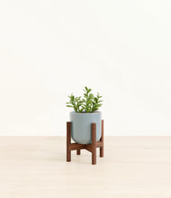 Load image into Gallery viewer, Misty Blue stand:walnut