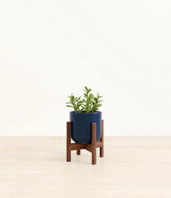 Load image into Gallery viewer, Twilight Blue stand:walnut