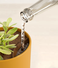 Load image into Gallery viewer, Sunset Orange stand:all