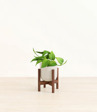 Load image into Gallery viewer, Natural Bamboo stand:walnut