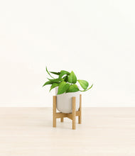 Load image into Gallery viewer, Natural Bamboo stand:bamboo