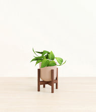Load image into Gallery viewer, Sandy Pink stand:walnut