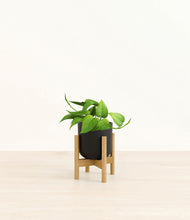Load image into Gallery viewer, Stone Black stand:bamboo