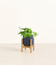 Load image into Gallery viewer, Deep Navy stand:bamboo