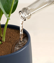 Load image into Gallery viewer, Deep Navy stand:all