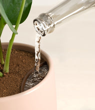 Load image into Gallery viewer, Gentle Pink stand:all