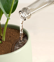 Load image into Gallery viewer, Turquoise stand:all