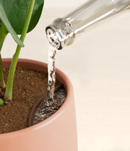 Load image into Gallery viewer, Calm Rose stand:all