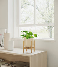 Load image into Gallery viewer, Almond Green stand:bamboo