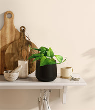 Load image into Gallery viewer, Black