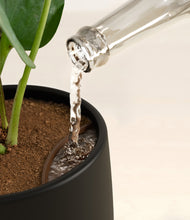 Load image into Gallery viewer, Black stand:all