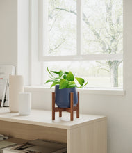 Load image into Gallery viewer, Deep Navy stand:walnut