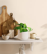 Load image into Gallery viewer, White