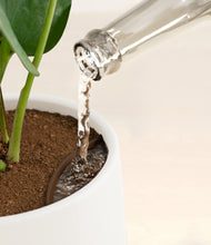 Load image into Gallery viewer, White stand:all