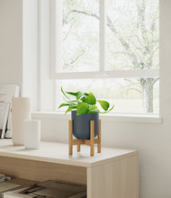 Load image into Gallery viewer, Iron Gray stand:bamboo