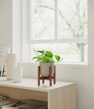 Load image into Gallery viewer, Sage Green stand:walnut