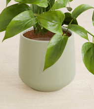 Load image into Gallery viewer, Turquoise stand:all