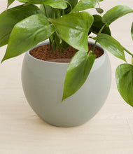 Load image into Gallery viewer, Deep Ocean stand:all