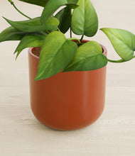 Load image into Gallery viewer, Earth Red stand:all