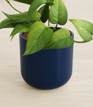 Load image into Gallery viewer, Twilight Blue stand:all