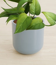 Load image into Gallery viewer, Misty Blue stand:all