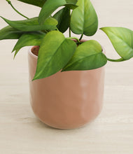 Load image into Gallery viewer, Hammered Peach Pink stand:all