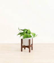 Load image into Gallery viewer, Hammered Ivory stand:walnut