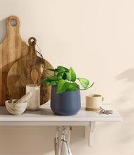 Load image into Gallery viewer, Deep Navy