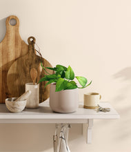 Load image into Gallery viewer, Eternal Gray