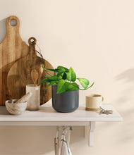 Load image into Gallery viewer, Iron Gray