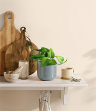 Load image into Gallery viewer, Misty Blue