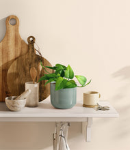 Load image into Gallery viewer, Reactive Aqua