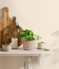 Load image into Gallery viewer, Sandy Pink