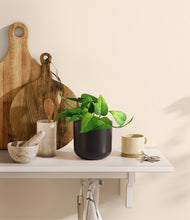 Load image into Gallery viewer, Stone Black