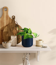 Load image into Gallery viewer, Twilight Blue