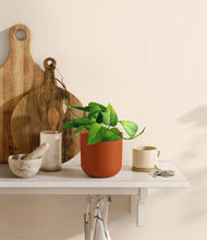 Load image into Gallery viewer, Earth Red