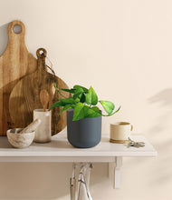 Load image into Gallery viewer, Iron Gray