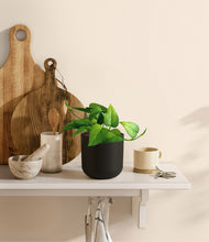 Load image into Gallery viewer, Stone Black