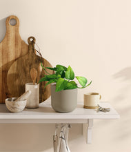 Load image into Gallery viewer, Sage Green