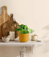 Load image into Gallery viewer, Sunset Orange