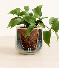 Load image into Gallery viewer, Almond Green stand:all