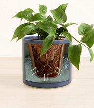 Load image into Gallery viewer, Deep Navy stand:all