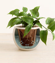 Load image into Gallery viewer, Shiny EggWhite stand:all