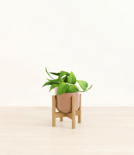 Load image into Gallery viewer, Hammered Peach Pink stand:bamboo