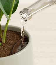 Load image into Gallery viewer, Turquoise stand:all