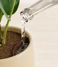 Load image into Gallery viewer, Almond Green stand:all